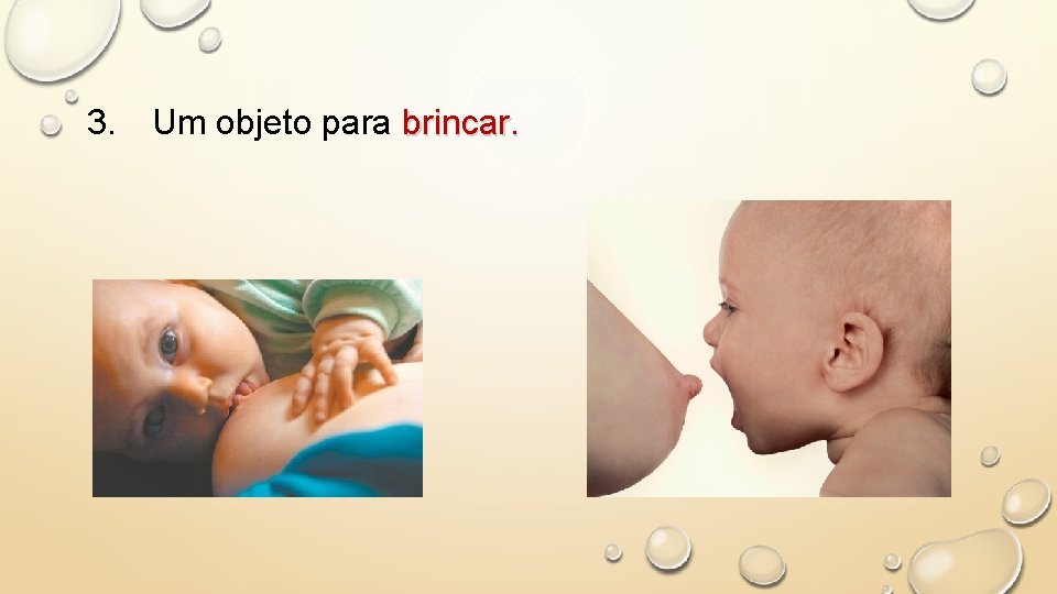 3. Um objeto para brincar. 