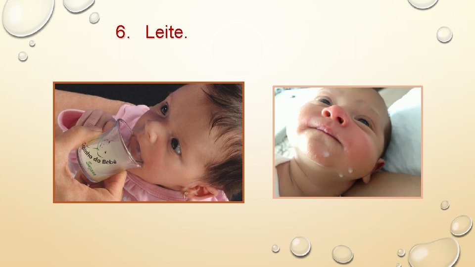 6. Leite 