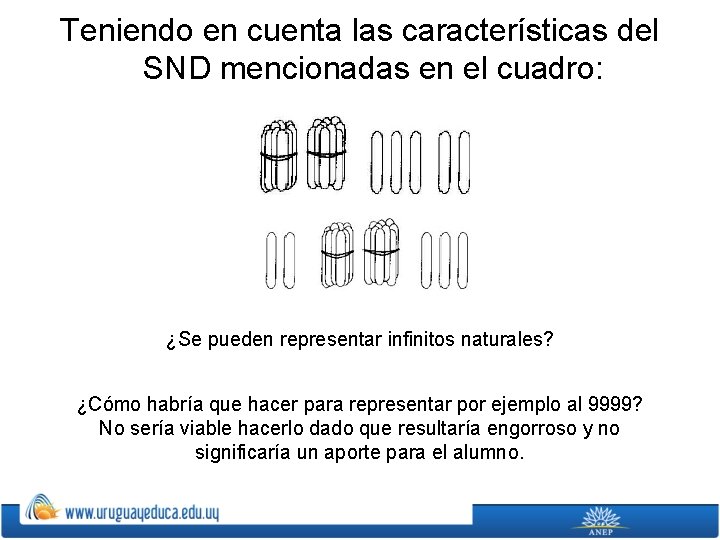 Teniendo en cuenta las características del SND mencionadas en el cuadro: ¿Se pueden representar