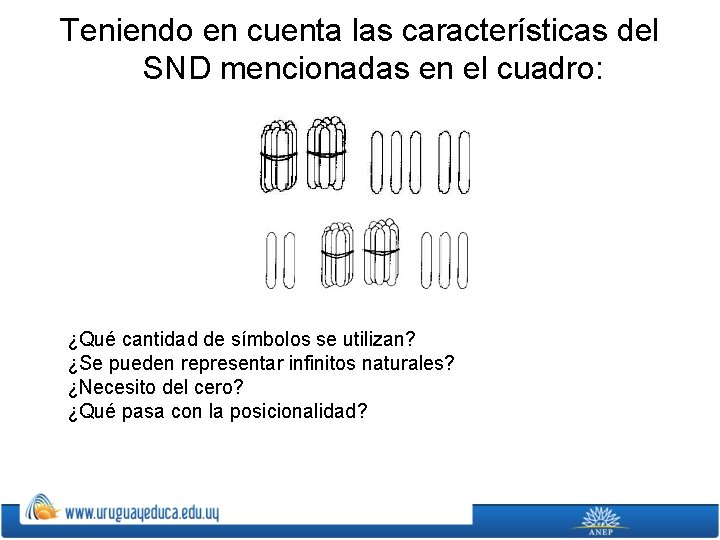 Teniendo en cuenta las características del SND mencionadas en el cuadro: ¿Qué cantidad de