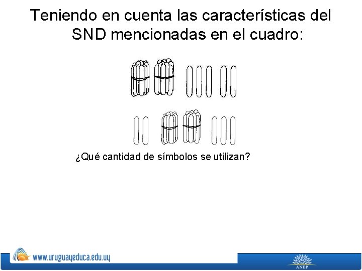 Teniendo en cuenta las características del SND mencionadas en el cuadro: ¿Qué cantidad de