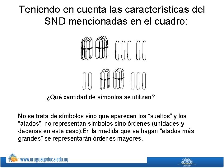 Teniendo en cuenta las características del SND mencionadas en el cuadro: ¿Qué cantidad de