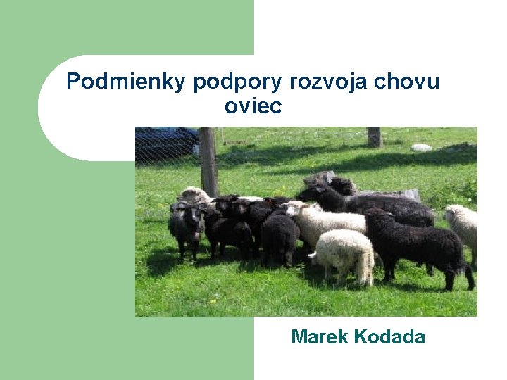 Podmienky podpory rozvoja chovu oviec Marek Kodada 