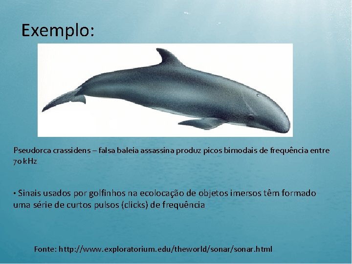 Exemplo: Pseudorca crassidens – falsa baleia assassina produz picos bimodais de frequência entre 70