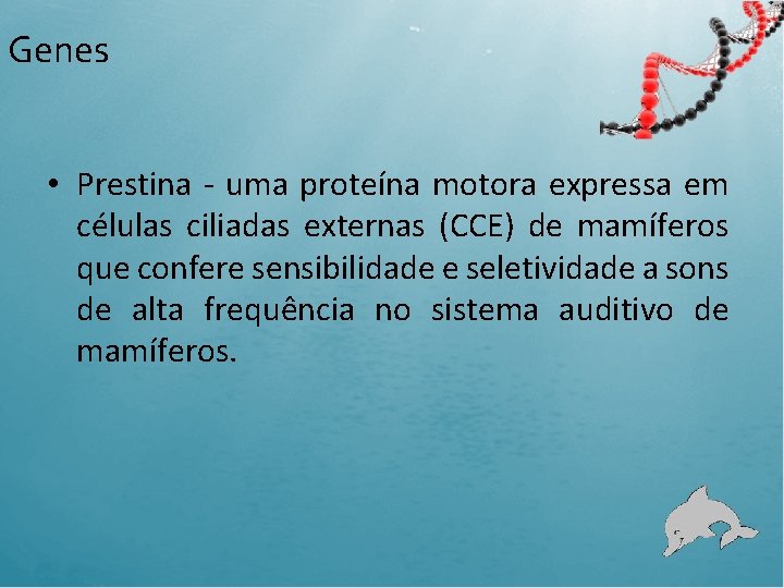 Genes • Prestina - uma proteína motora expressa em células ciliadas externas (CCE) de