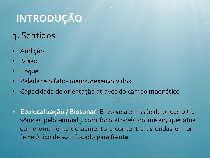 INTRODUÇÃO 3. Sentidos • • • Audição Visão Toque Paladar e olfato- menos desenvolvidos