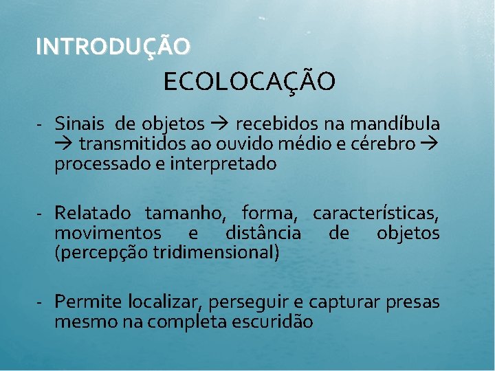 INTRODUÇÃO ECOLOCAÇÃO - Sinais de objetos recebidos na mandíbula transmitidos ao ouvido médio e