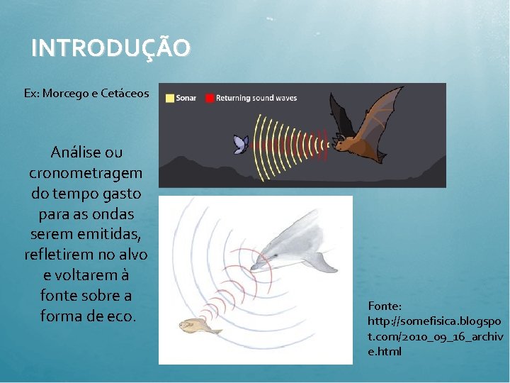 INTRODUÇÃO Ex: Morcego e Cetáceos Análise ou cronometragem do tempo gasto para as ondas