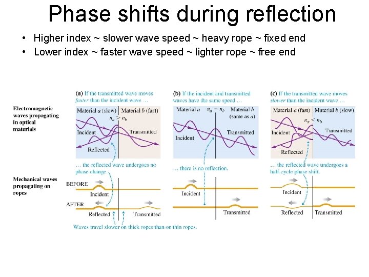 Phase shifts during reflection • Higher index ~ slower wave speed ~ heavy rope Phase shifts during reflection • Higher index ~ slower wave speed ~ heavy rope