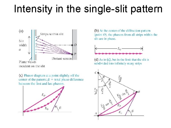 Intensity in the single-slit pattern Intensity in the single-slit pattern