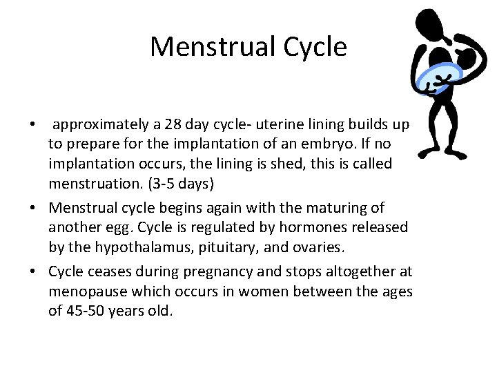 Menstrual Cycle • approximately a 28 day cycle- uterine lining builds up to prepare