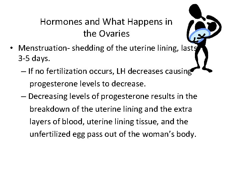 Hormones and What Happens in the Ovaries • Menstruation- shedding of the uterine lining,