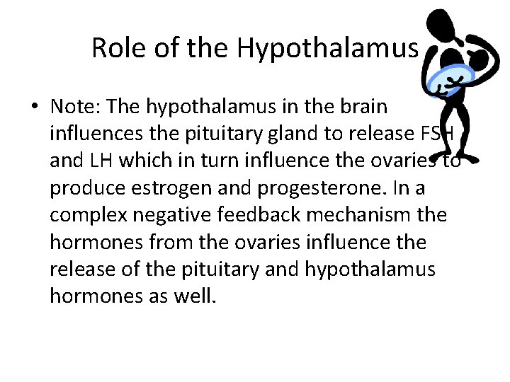 Role of the Hypothalamus • Note: The hypothalamus in the brain influences the pituitary