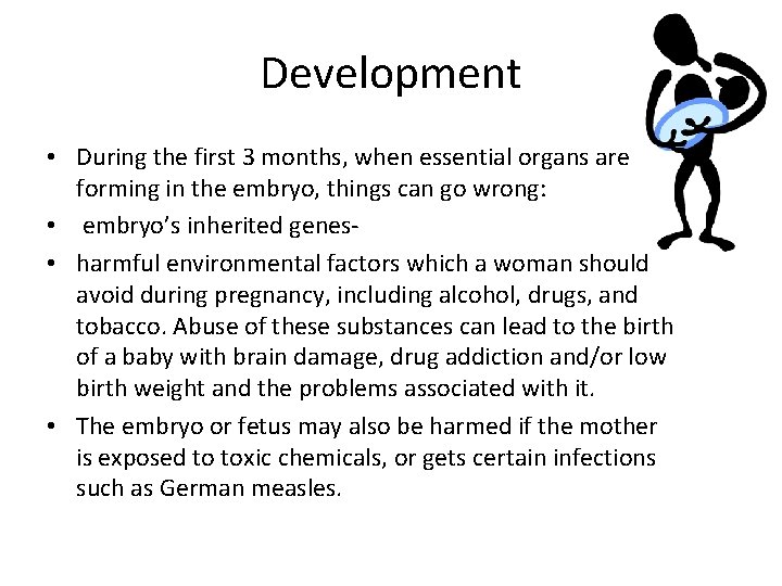 Development • During the first 3 months, when essential organs are forming in the