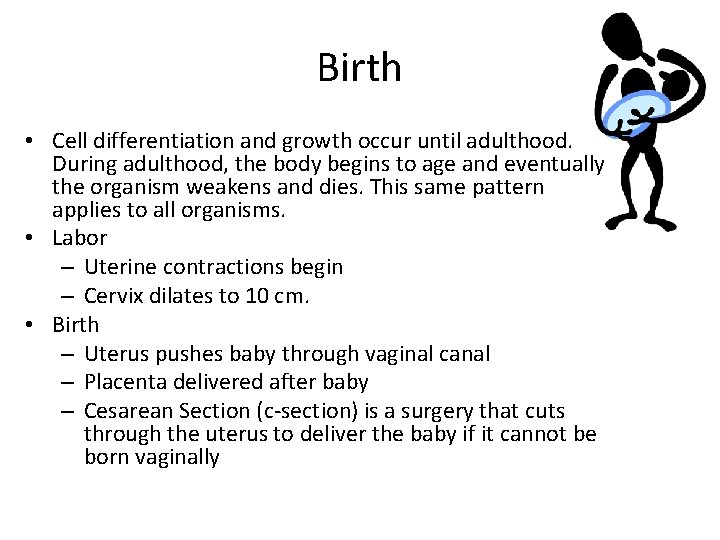 Birth • Cell differentiation and growth occur until adulthood. During adulthood, the body begins