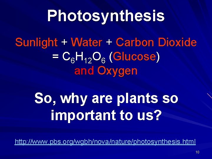 Photosynthesis Sunlight + Water + Carbon Dioxide = C 6 H 12 O 6