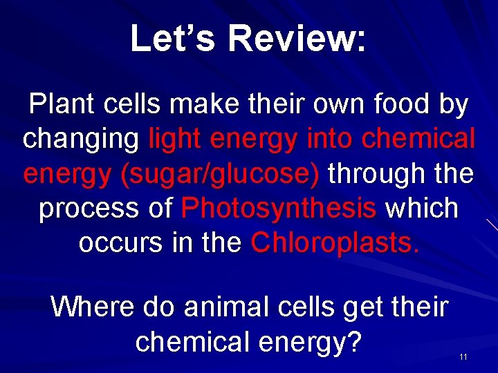 Let’s Review: Plant cells make their own food by changing light energy into chemical