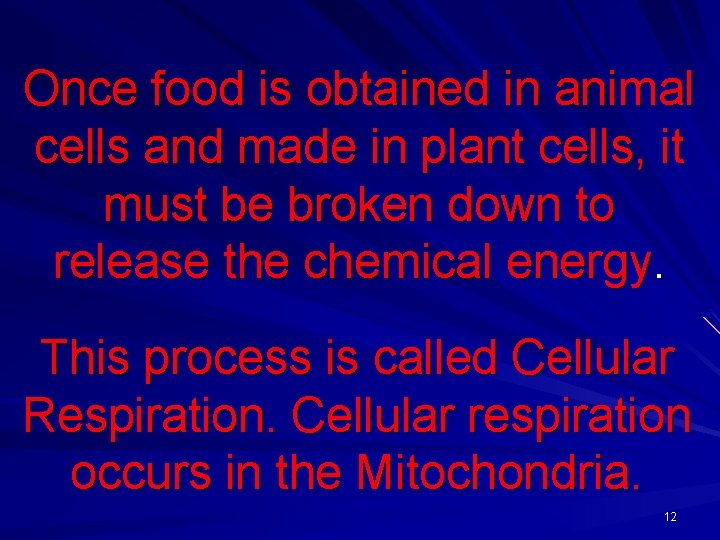 Once food is obtained in animal cells and made in plant cells, it must