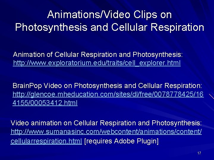 Animations/Video Clips on Photosynthesis and Cellular Respiration Animation of Cellular Respiration and Photosynthesis: http: