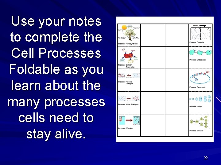 Use your notes to complete the Cell Processes Foldable as you learn about the