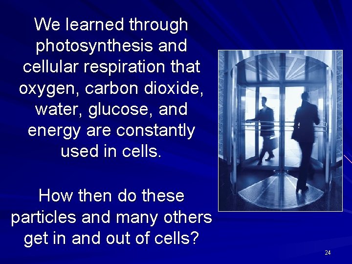 We learned through photosynthesis and cellular respiration that oxygen, carbon dioxide, water, glucose, and