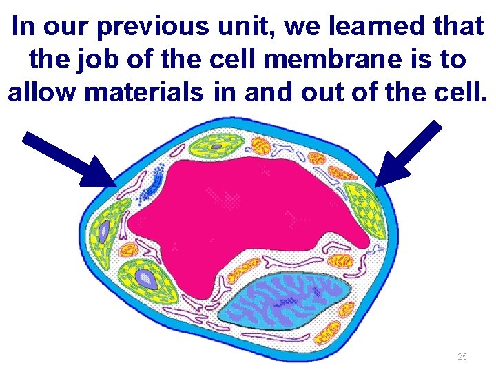 In our previous unit, we learned that the job of the cell membrane is