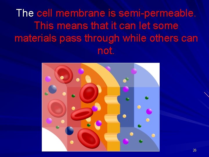 The cell membrane is semi-permeable. This means that it can let some materials pass