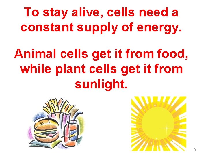 To stay alive, cells need a constant supply of energy. Animal cells get it