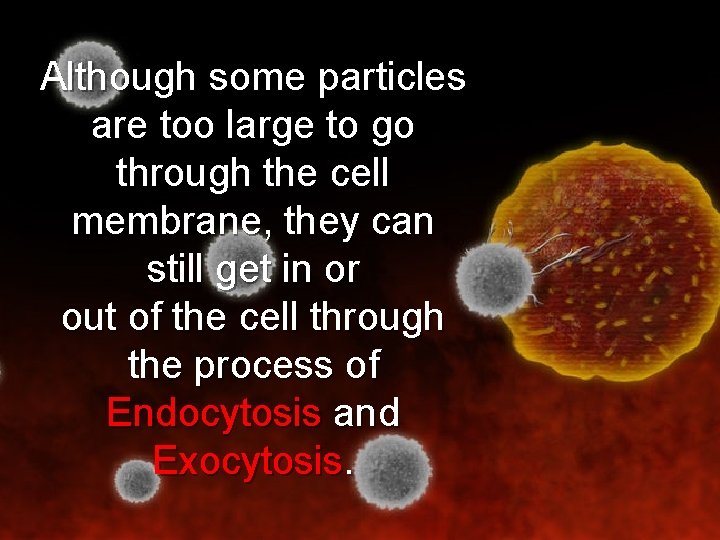 Although some particles are too large to go through the cell membrane, they can