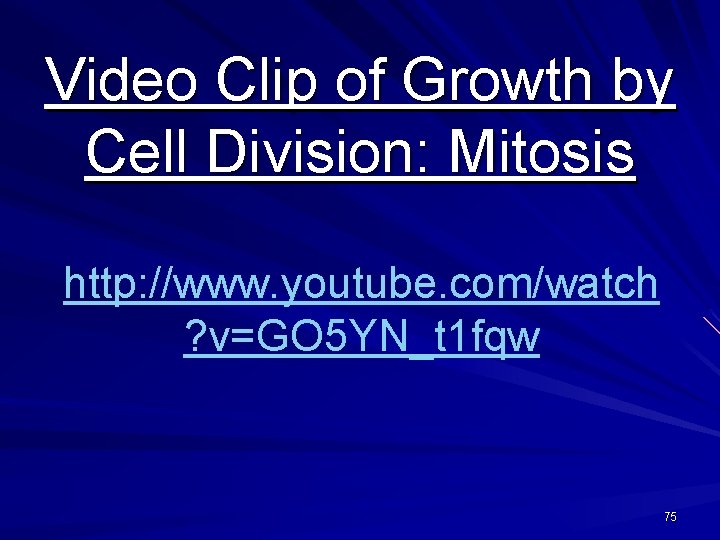 Video Clip of Growth by Cell Division: Mitosis http: //www. youtube. com/watch ? v=GO