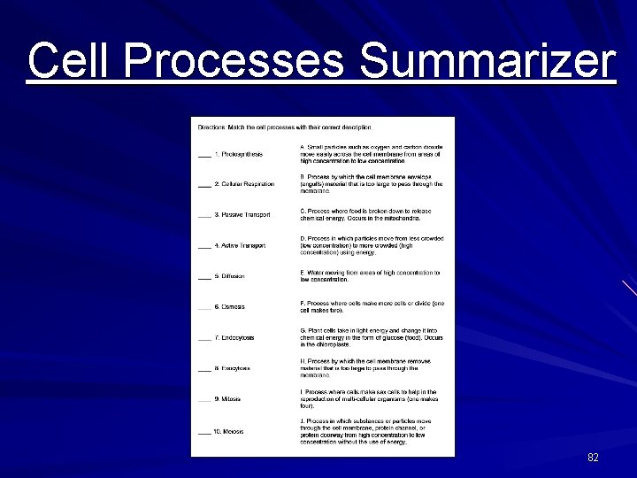 Cell Processes Summarizer 82 