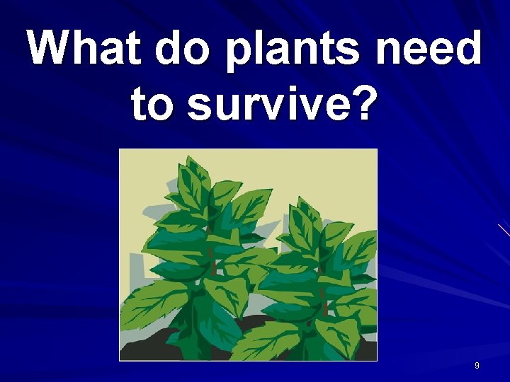 What do plants need to survive? 9 
