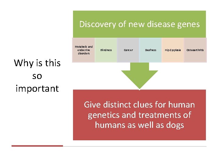 Discovery of new disease genes Metabolic and endocrine disorders Blindness Cancer Deafness Hip dysplasia