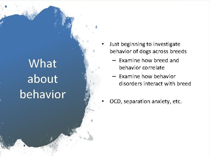 What about behavior • Just beginning to investigate behavior of dogs across breeds –