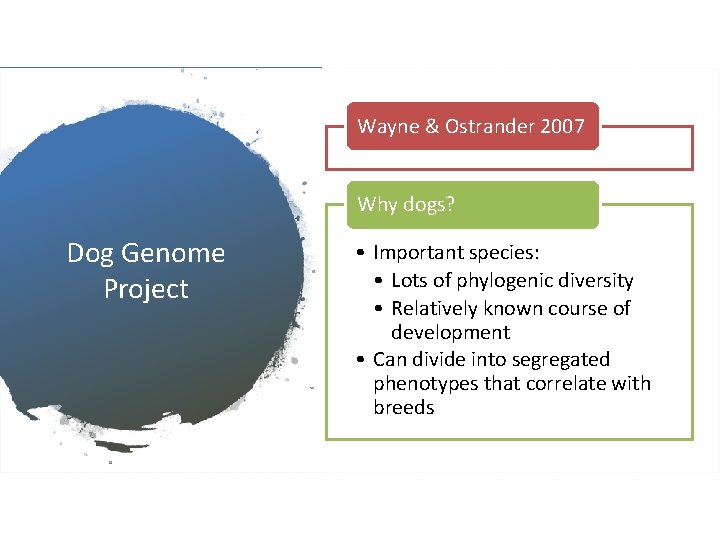 Wayne & Ostrander 2007 Why dogs? Dog Genome Project • Important species: • Lots