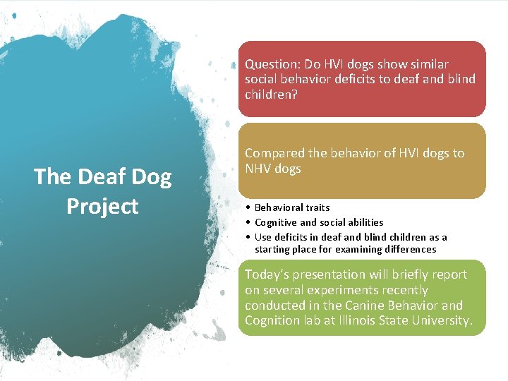 Question: Do HVI dogs show similar social behavior deficits to deaf and blind children?