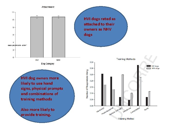 HVI dogs rated as attached to their owners as NHV dogs HVI dog owners