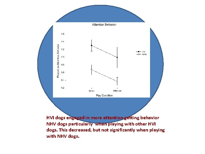 HVI dogs engaged in more attention getting behavior NHV dogs particularly when playing with