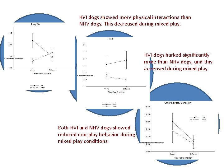 HVI dogs showed more physical interactions than NHV dogs. This decreased during mixed play.