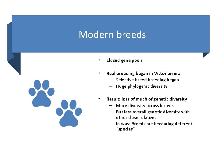 Modern breeds • Closed gene pools • Real breeding began in Victorian era –