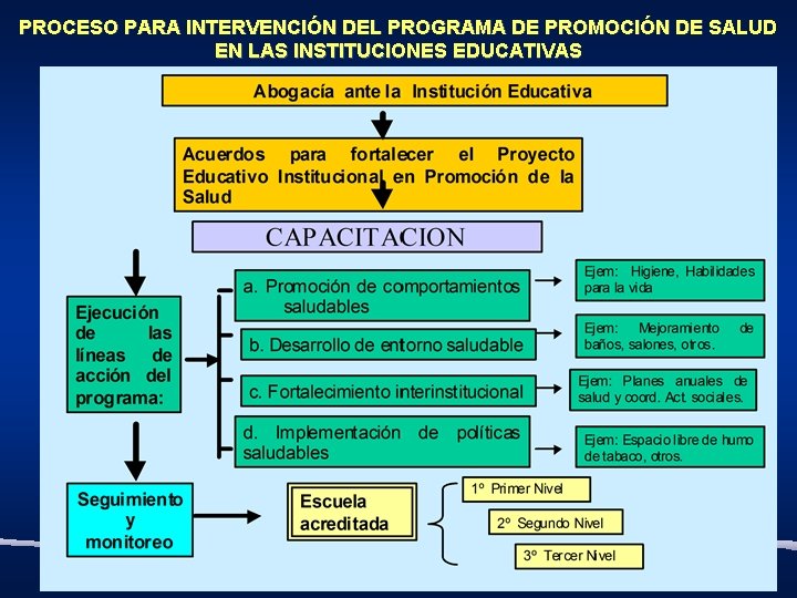 PROCESO PARA INTERVENCIÓN DEL PROGRAMA DE PROMOCIÓN DE SALUD EN LAS INSTITUCIONES EDUCATIVAS 