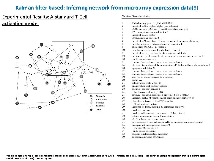 Kalman filter based: Inferring network from microarray expression data(9) Experimental Results: A standard T-Cell