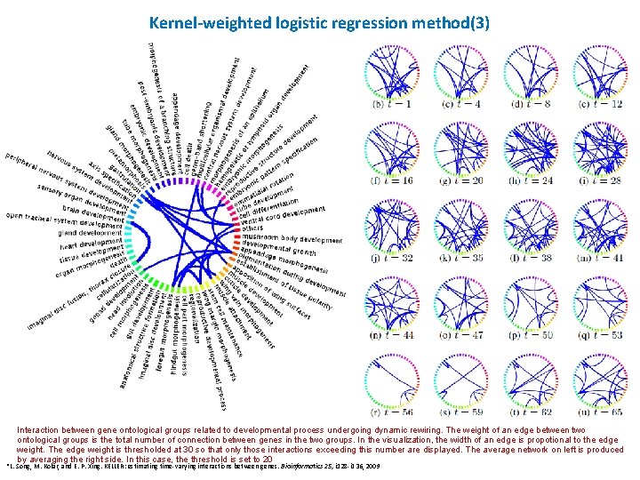 Kernel-weighted logistic regression method(3) Interaction between gene ontological groups related to developmental process undergoing