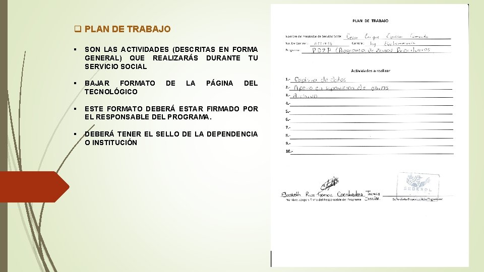 q PLAN DE TRABAJO § SON LAS ACTIVIDADES (DESCRITAS EN FORMA GENERAL) QUE REALIZARÁS