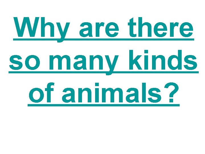 Why are there so many kinds of animals? Why are there so many kinds of animals?