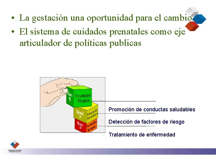  • La gestación una oportunidad para el cambio. • El sistema de cuidados