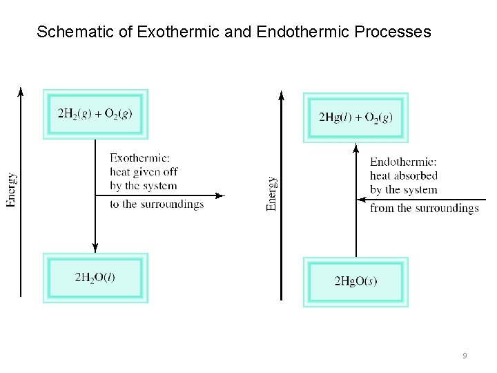 Schematic of Exothermic and Endothermic Processes 9 