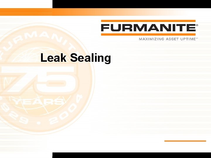 Leak Sealing 19 Furmanite Confidential - 1/9/04 