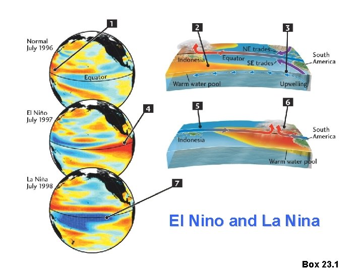 El Nino and La Nina Box 23. 1 
