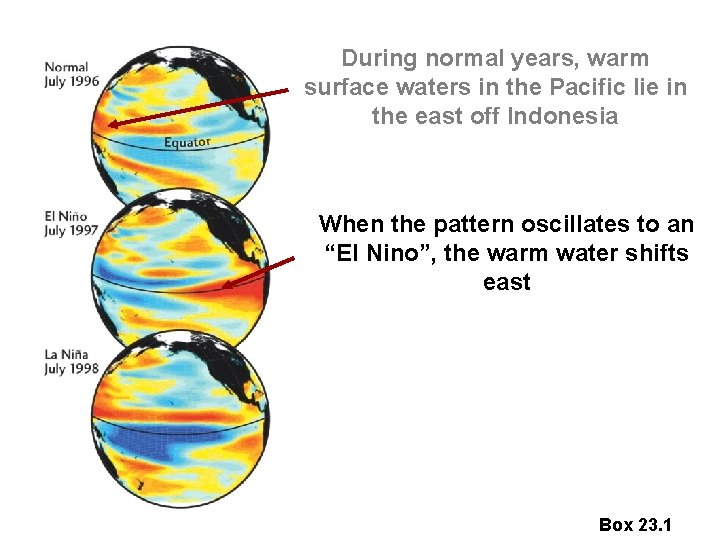 During normal years, warm surface waters in the Pacific lie in the east off